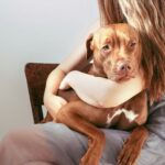 A woman with long, wavy hair lovingly embraces a brown dog while sitting on a wooden chair, highlighting the comforting and therapeutic benefits of pet companionship in Miami Mental Health care.